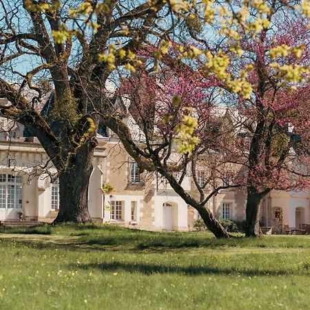 Chateau De Razay Cere-la-Ronde Екстер'єр фото
